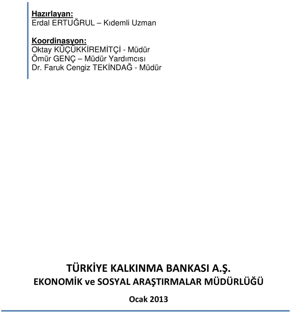 Dr. Faruk Cengiz TEKİNDAĞ - Müdür TÜRKİYE KALKINMA