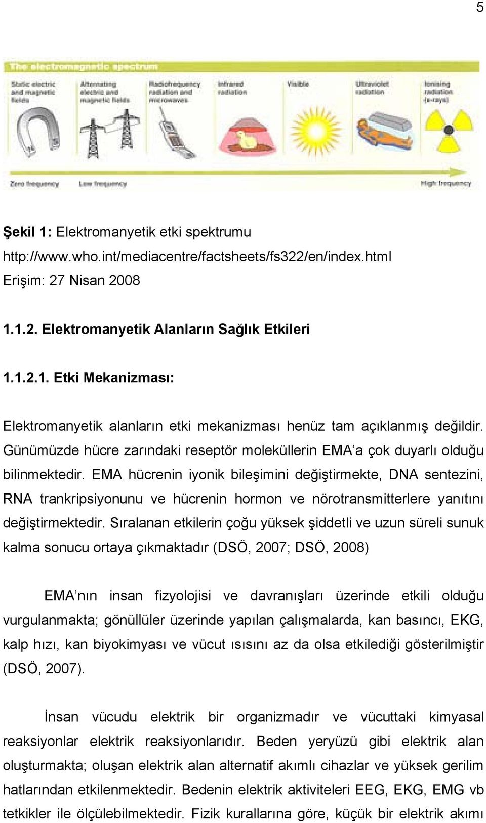 EMA hücrenin iyonik bileşimini değiştirmekte, DNA sentezini, RNA trankripsiyonunu ve hücrenin hormon ve nörotransmitterlere yanıtını değiştirmektedir.