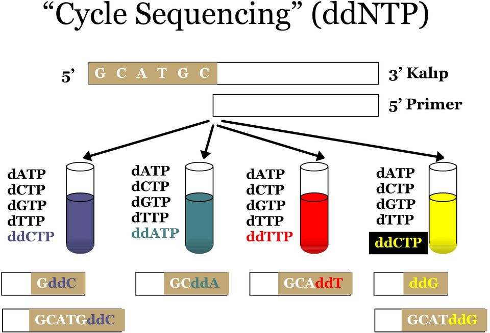 dttp ddatp datp dctp dgtp dttp ddttp datp dctp