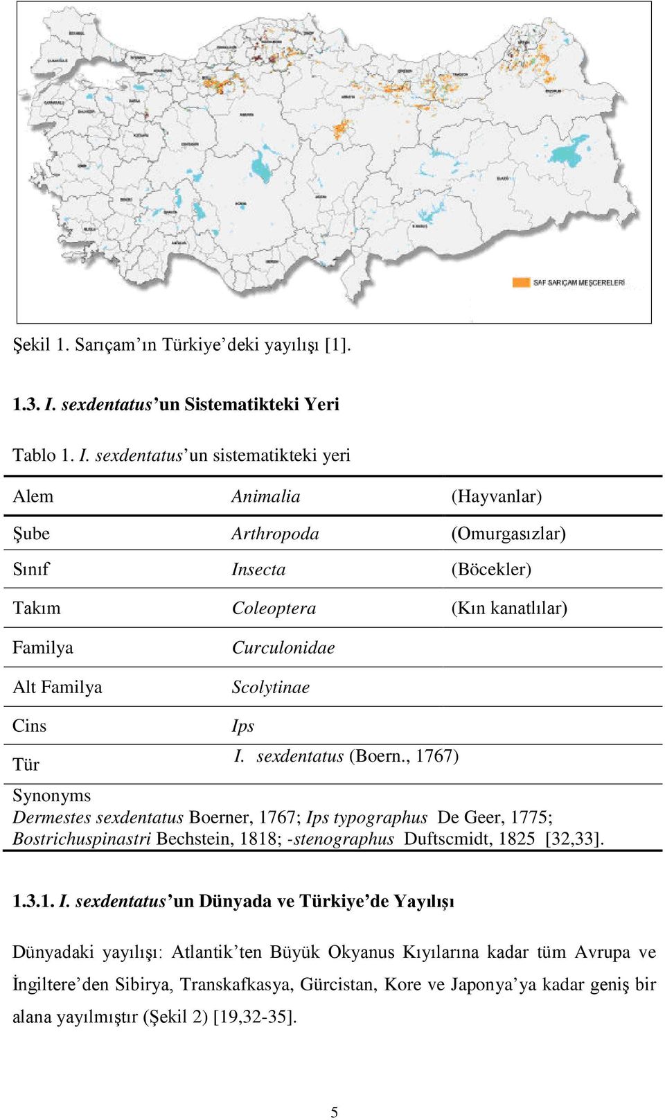 sexdentatus un sistematikteki yeri Alem Animalia (Hayvanlar) Şube Arthropoda (Omurgasızlar) Sınıf Insecta (Böcekler) Takım Coleoptera (Kın kanatlılar) Familya Alt Familya Curculonidae