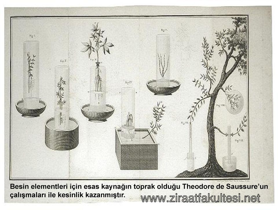 Theodore de Saussure un