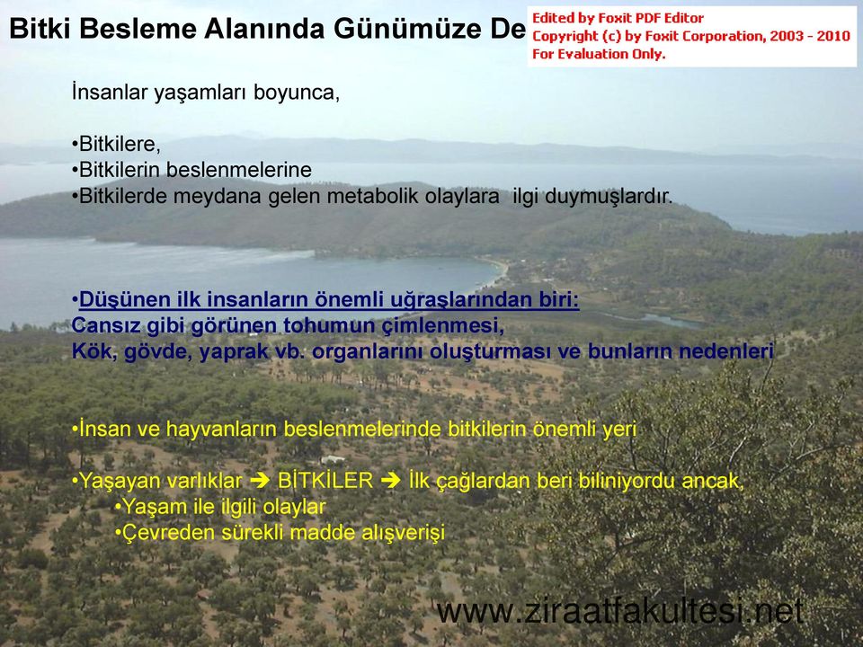 DüĢünen ilk insanların önemli uğraģlarından biri: Cansız gibi görünen tohumun çimlenmesi, Kök, gövde, yaprak vb.