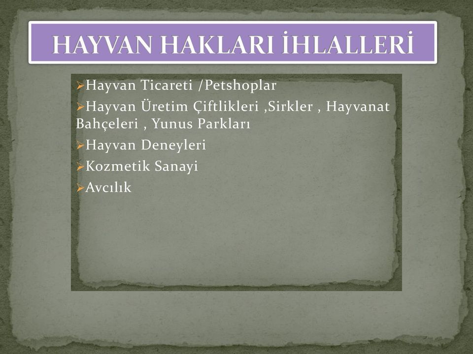 Hayvanat Bahçeleri, Yunus Parkları