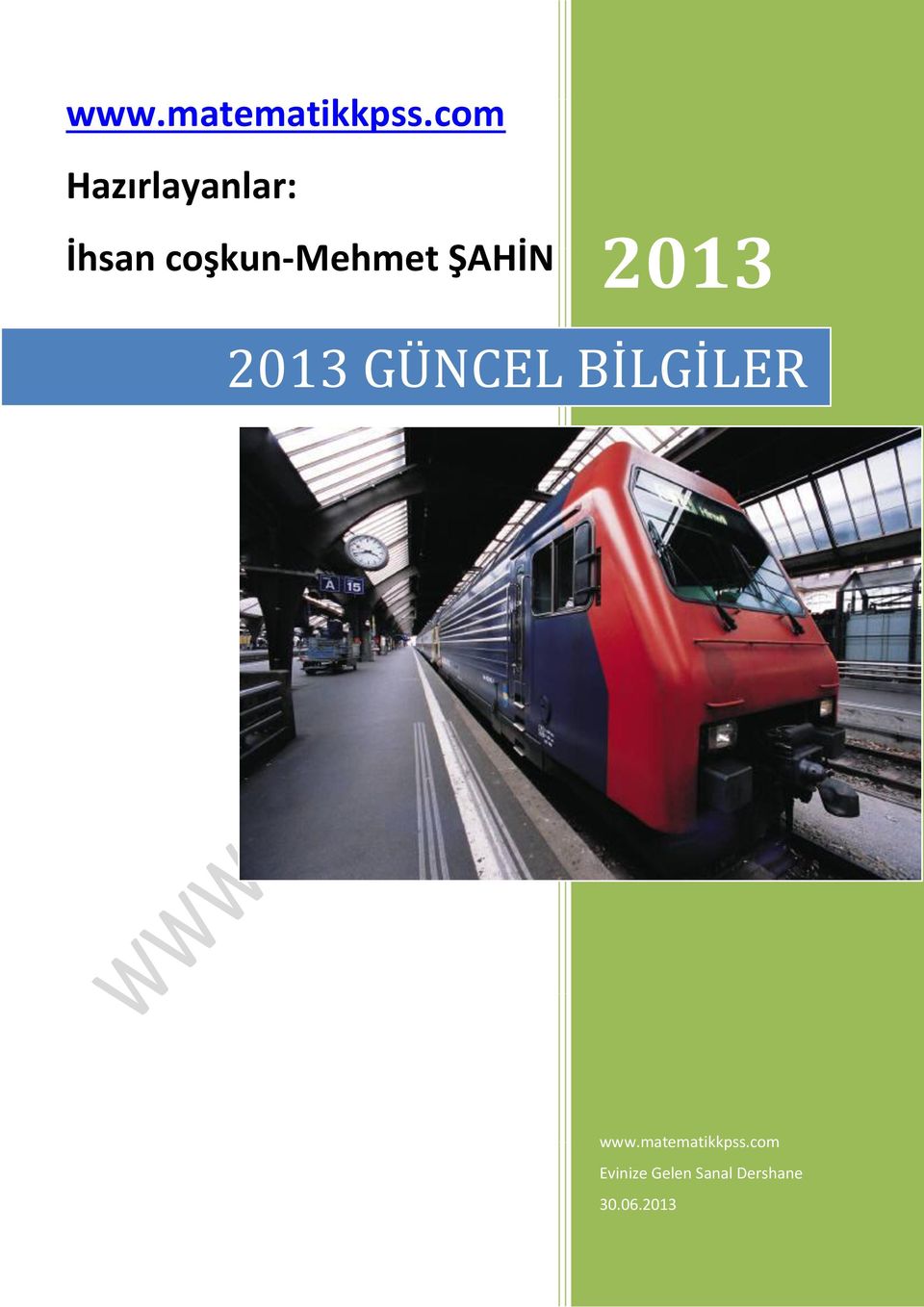 ŞAHİN 2013 2013