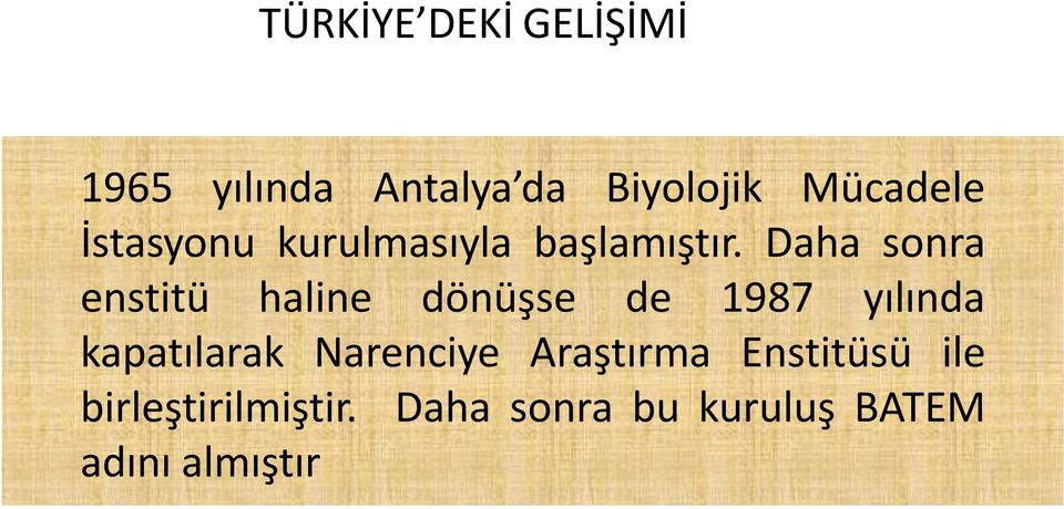 Daha sonra enstitü haline dönüşse de 1987 yılında kapatılarak