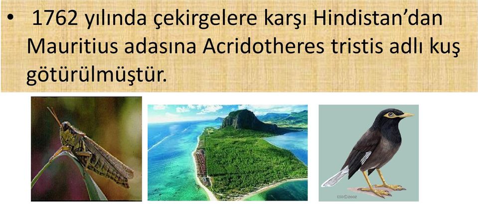 Mauritius adasına