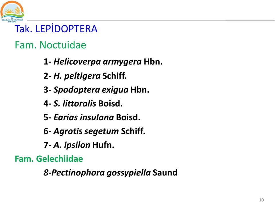 littoralis Boisd. 5- Earias insulana Boisd.