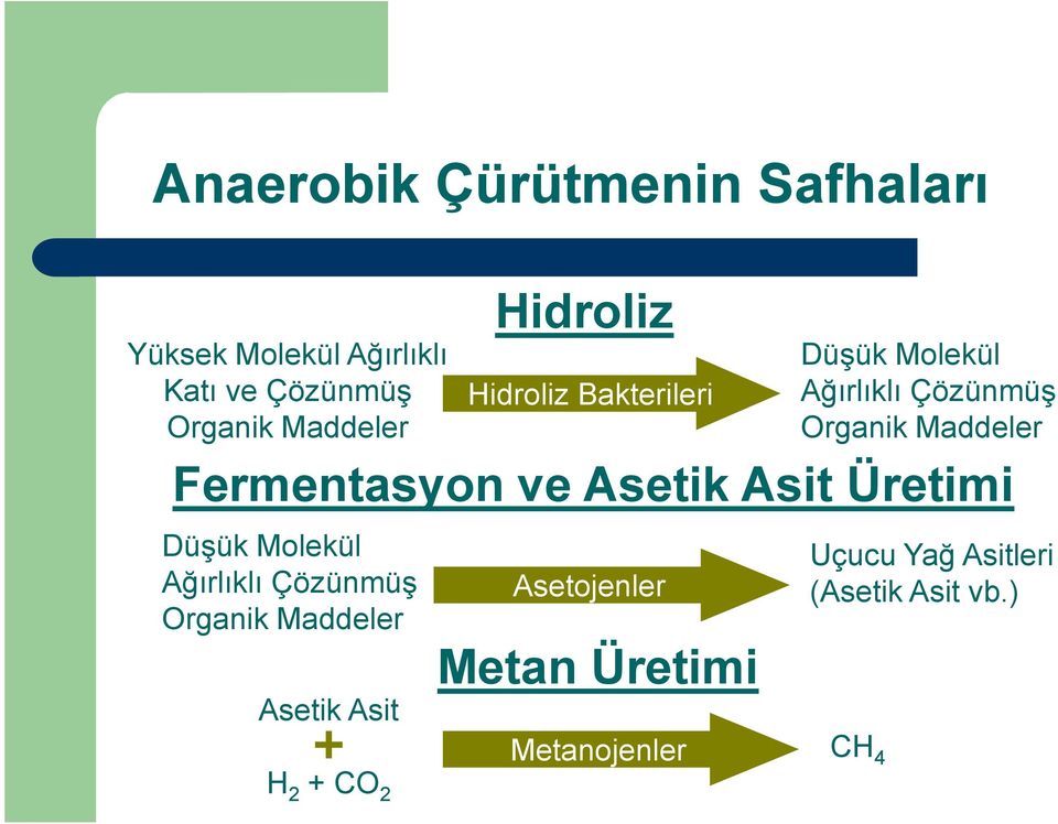 Fermentasyon ve Asetik Asit Üretimi Düşük Molekül Ağırlıklı Çözünmüş Organik Maddeler