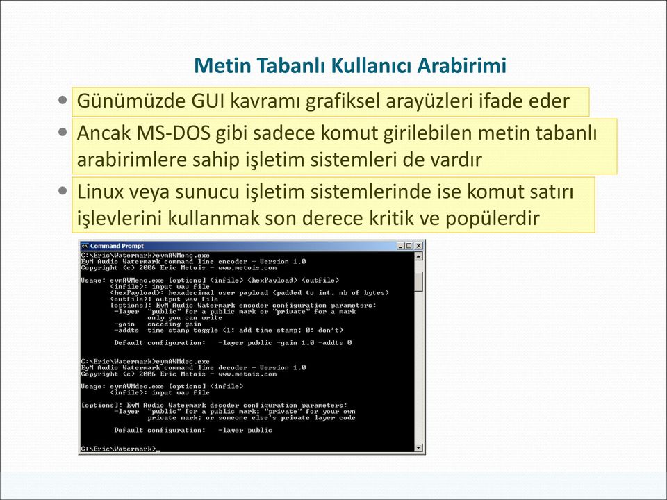 tabanlı arabirimlere sahip işletim sistemleri de vardır Linux veya sunucu