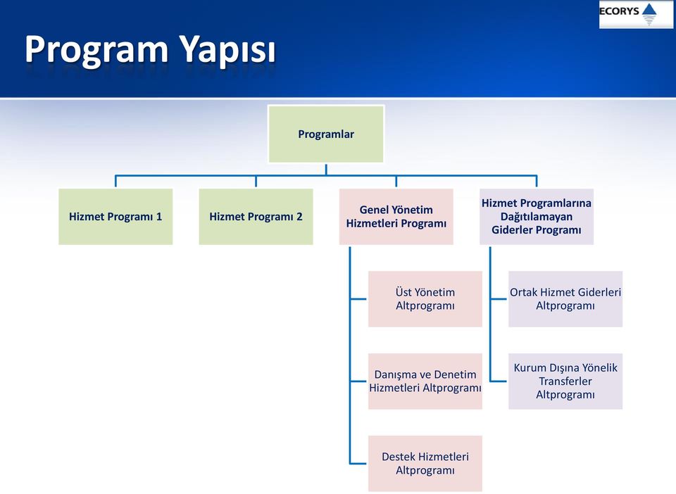 Yönetim Altprogramı Ortak Hizmet Giderleri Altprogramı Danışma ve Denetim