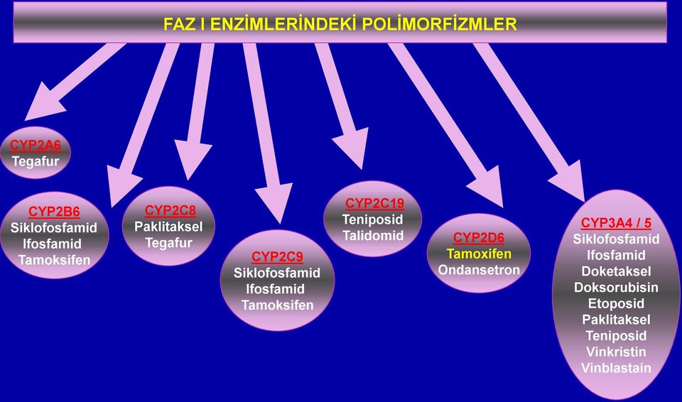 CYP2C19 Teniposid Talidomid CYP2D6 Tamoxifen Ondansetron CYP3A4 / 5 Siklofosfamid