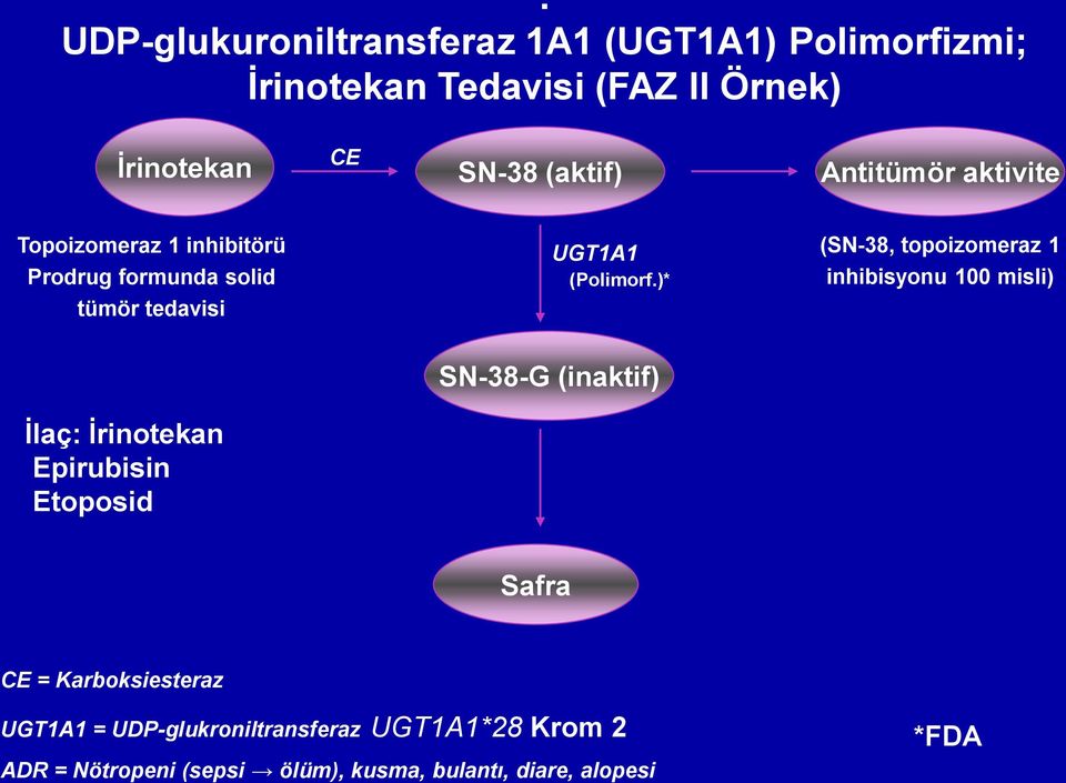 )* (SN-38, topoizomeraz 1 inhibisyonu 100 misli) SN-38-G (inaktif) İlaç: İrinotekan Epirubisin Etoposid Safra CE =