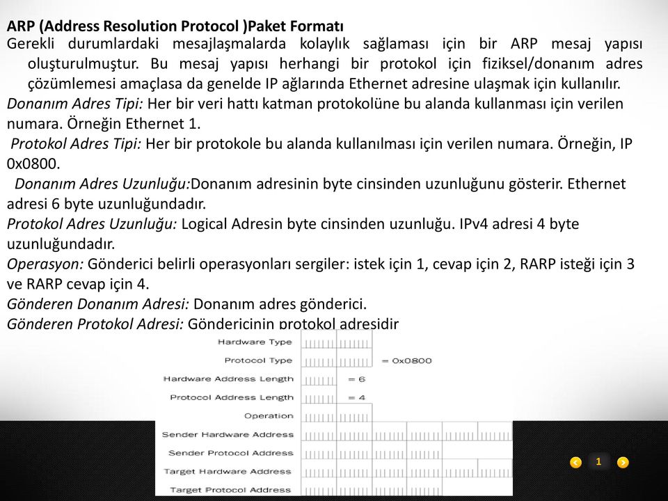 Donanım Adres Tipi: Her bir veri hattı katman protokolüne bu alanda kullanması için verilen numara. Örneğin Ethernet 1.