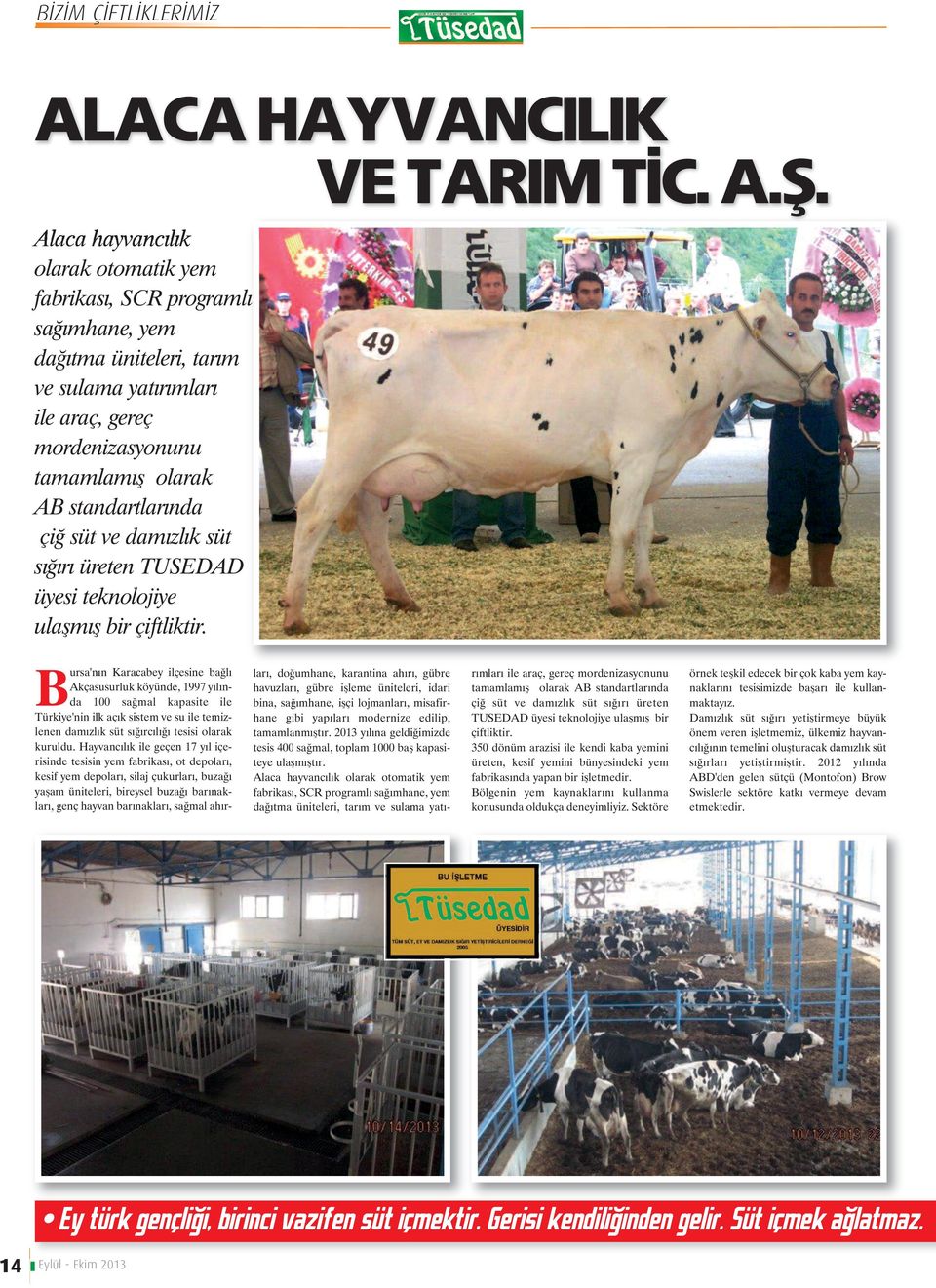 süt ve damızlık süt sığırı üreten TUSEDAD üyesi teknolojiye ulaşmış bir çiftliktir.