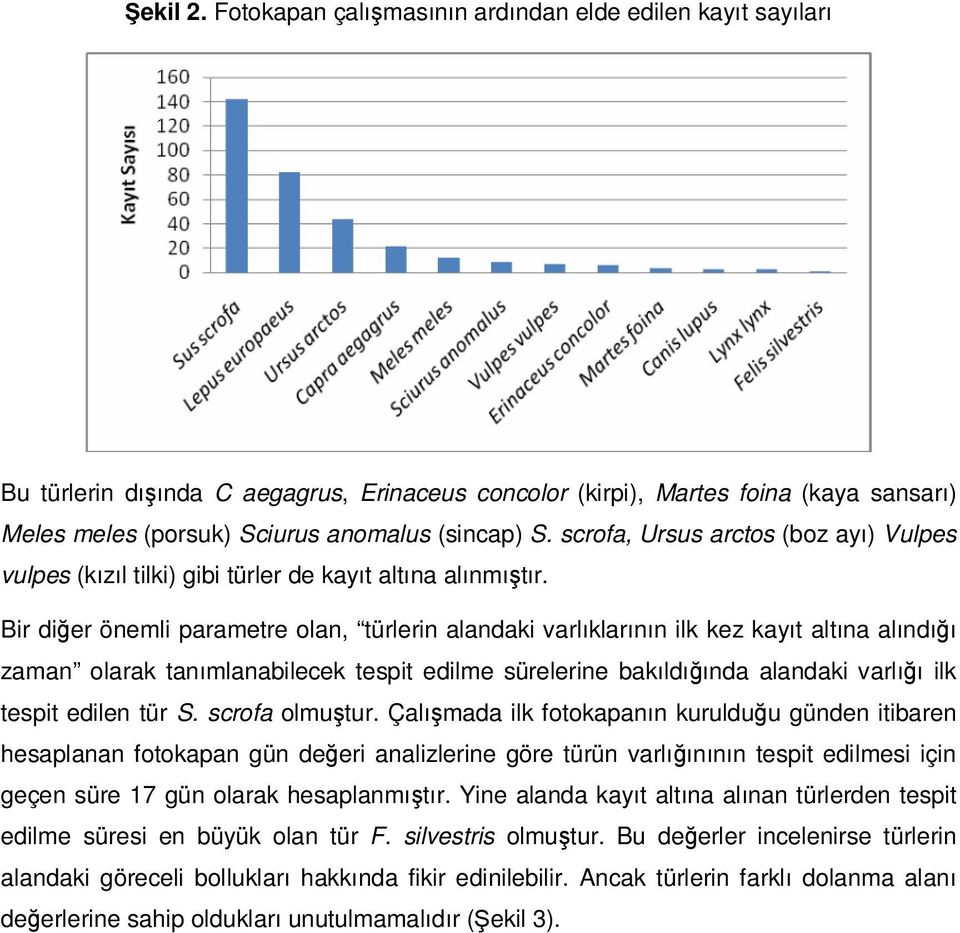 scrofa, Ursus arctos (boz ayı) Vulpes vulpes (kızıl tilki) gibi türler de kayıt altına alınmıştır.