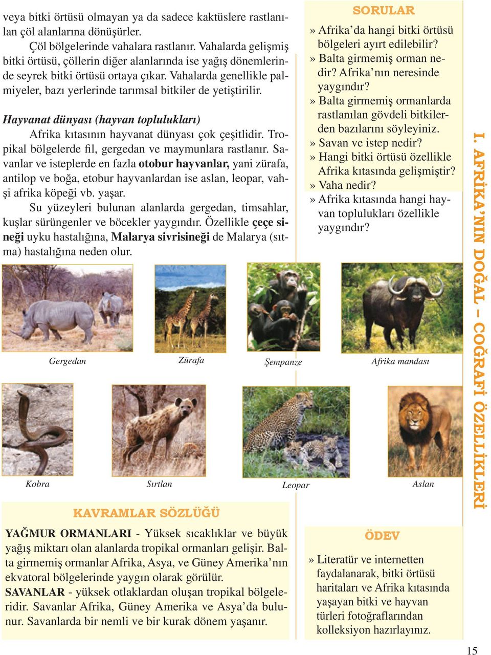 Hayvanat dünyası (hayvan toplulukları) Afrika kıtasının hayvanat dünyası çok çeşitlidir. Tropikal bölgelerde fil, gergedan ve maymunlara rastlanır.
