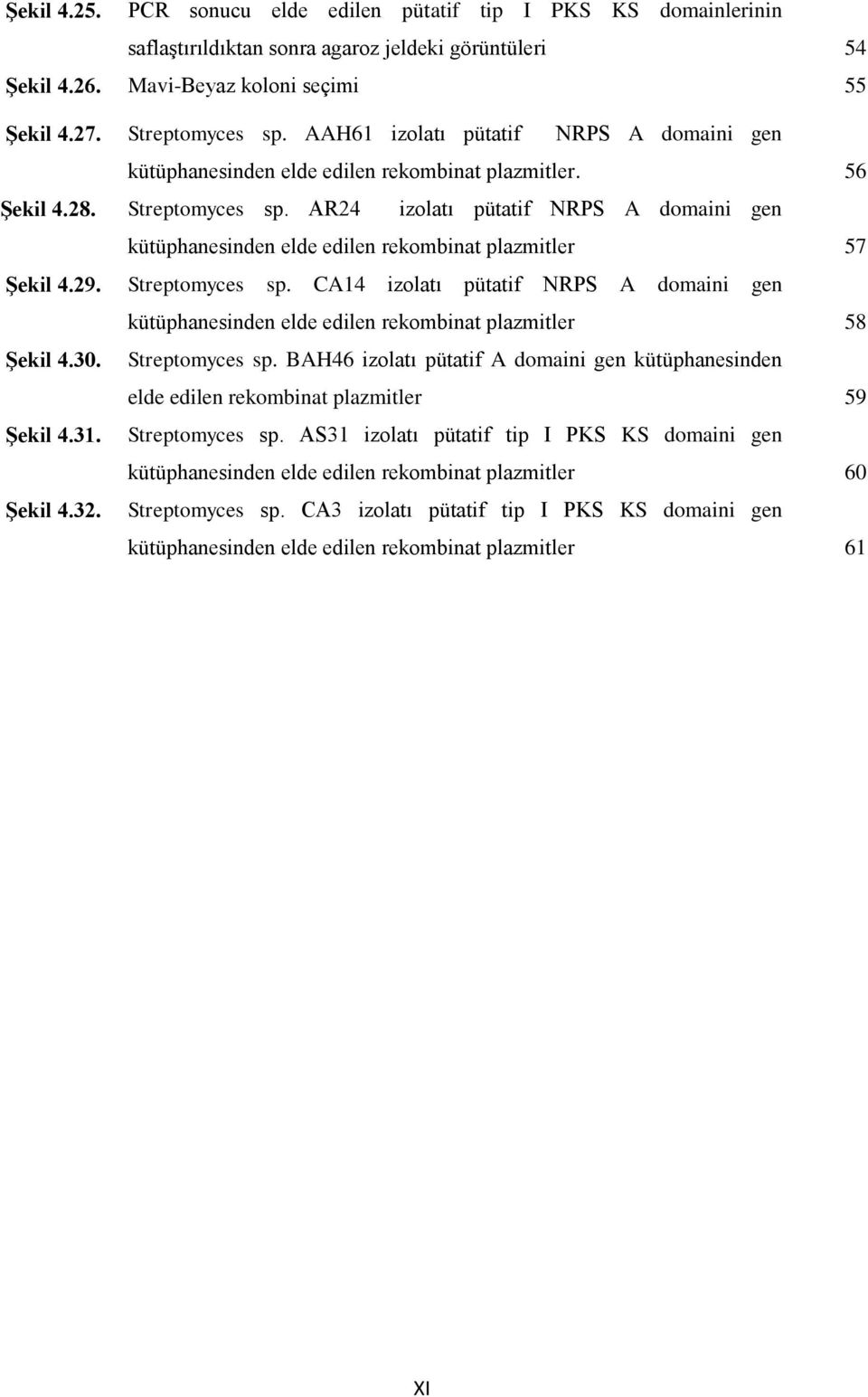 AR24 izolatı pütatif NRPS A domaini gen kütüphanesinden elde edilen rekombinat plazmitler 57 Şekil 4.29. Streptomyces sp.