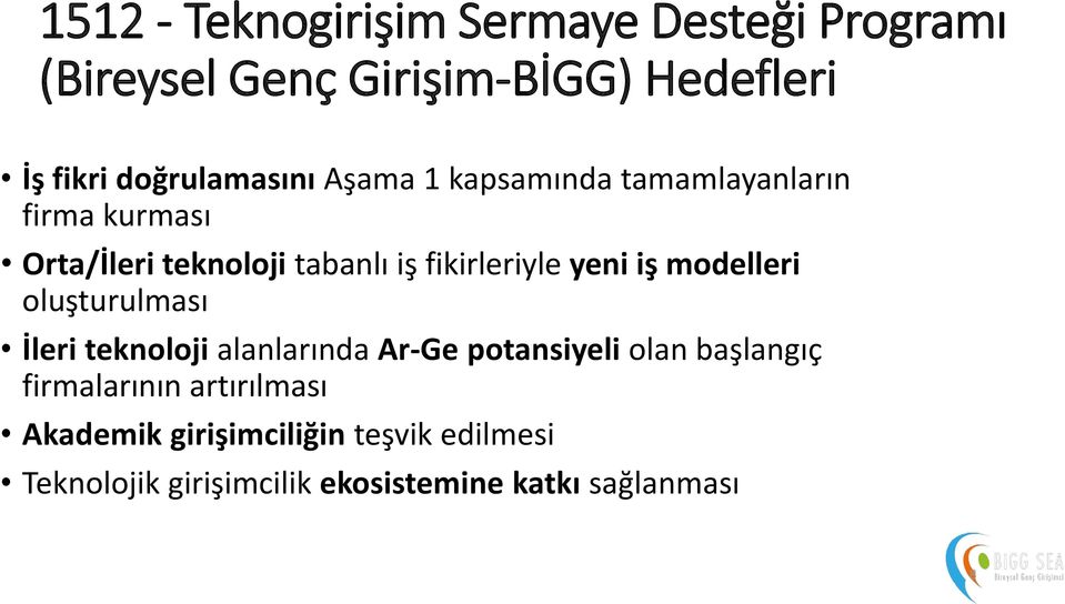 fikirleriyle yeni iş modelleri oluşturulması İleri teknoloji alanlarında Ar-Ge potansiyeli olan