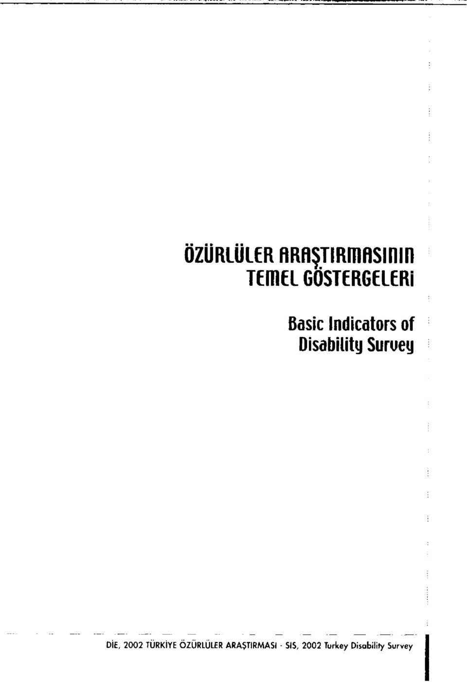 Disability Suruey DİE, 2002 TÜRKİYE