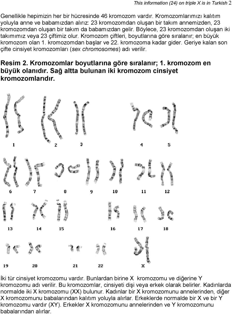 Böylece, 23 kromozomdan oluşan iki takımımız veya 23 çiftimiz olur. Kromozom çiftleri, boyutlarına göre sıralanır; en büyük kromozom olan 1. kromozomdan başlar ve 22. kromozoma kadar gider.