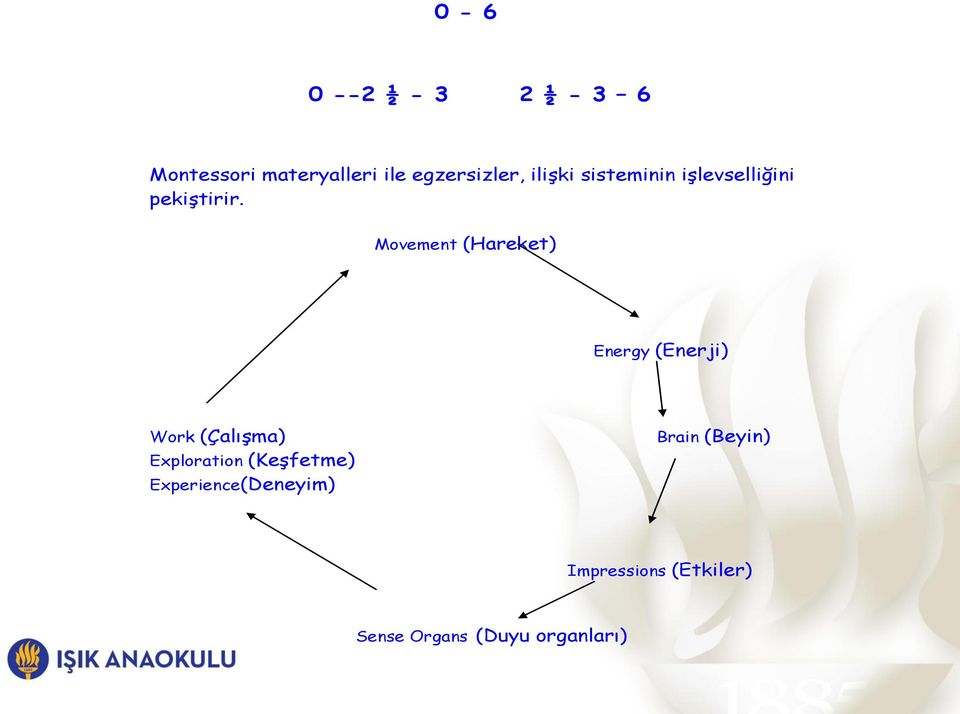 Movement (Hareket) Energy (Enerji) Work (Çalışma) Exploration