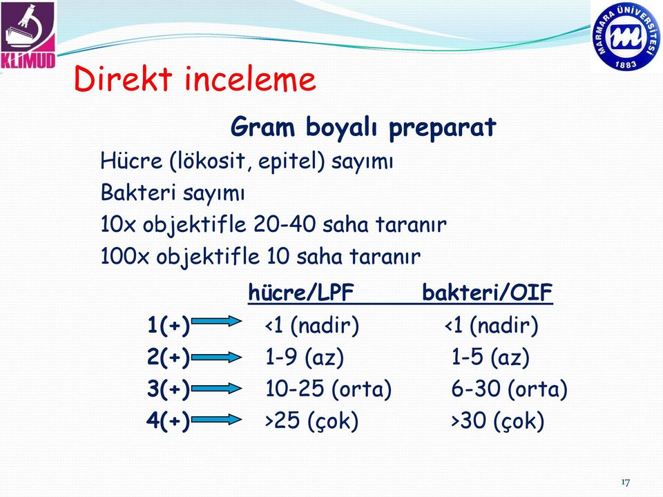 saha taranır hücre/lpf bakteri/oif 1(+) <1 (nadir) <1 (nadir) 2(+)