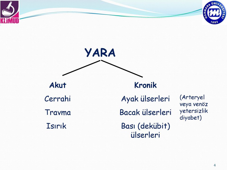 ülserleri Bası (dekübit) ülserleri