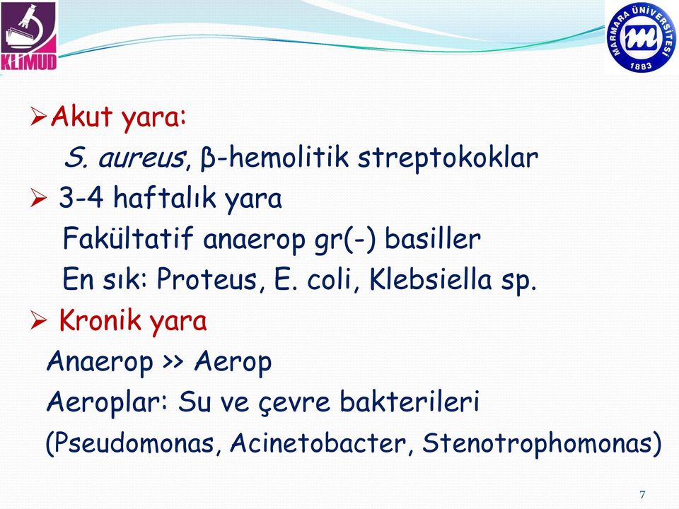 anaerop gr(-) basiller En sık: Proteus, E. coli, Klebsiella sp.