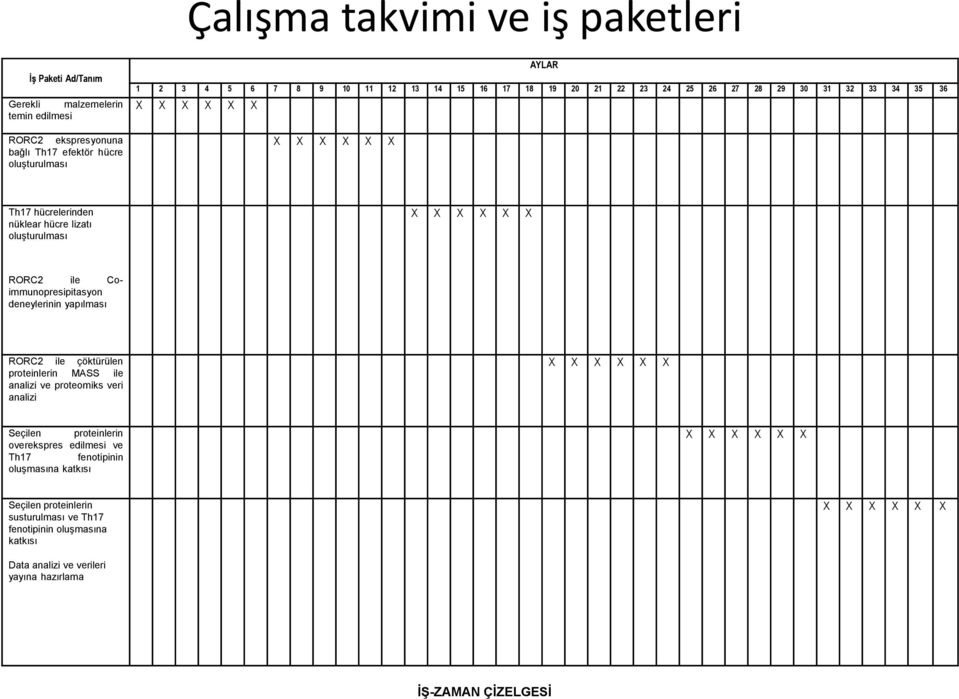 Coimmunopresipitasyon deneylerinin yapılması RORC2 ile çöktürülen proteinlerin MASS ile analizi ve proteomiks veri analizi X X X X X X Seçilen proteinlerin overekspres edilmesi ve