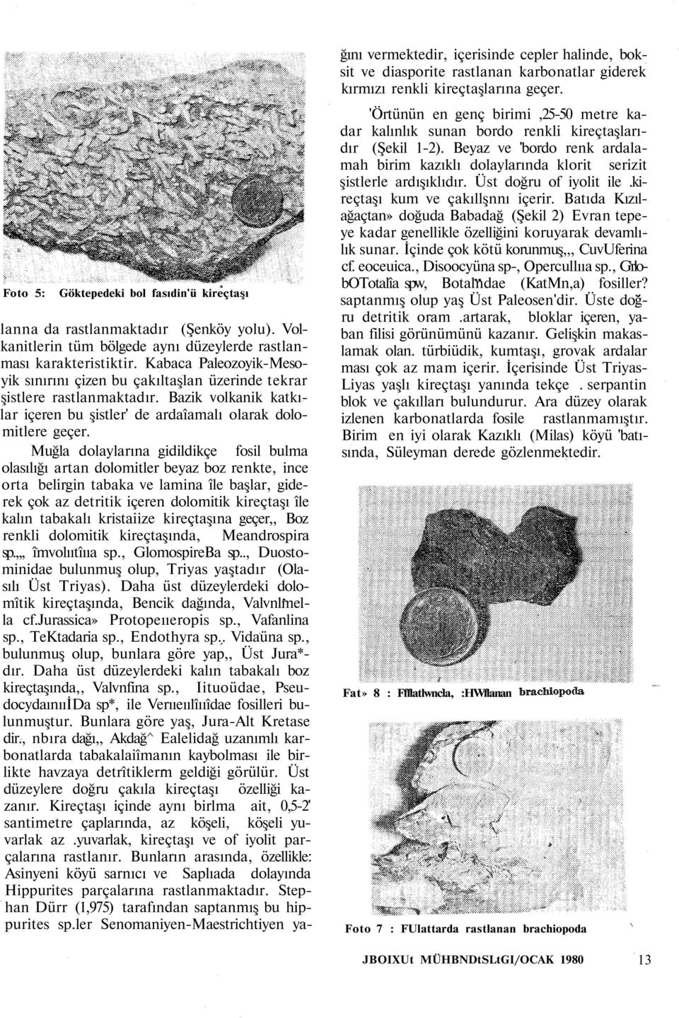 Muğla dolaylarına gidildikçe fosil bulma olasılığı artan dolomitler beyaz boz renkte, ince orta belirgin tabaka ve lamina île başlar, giderek çok az detritik içeren dolomitik kireçtaşı île kalın