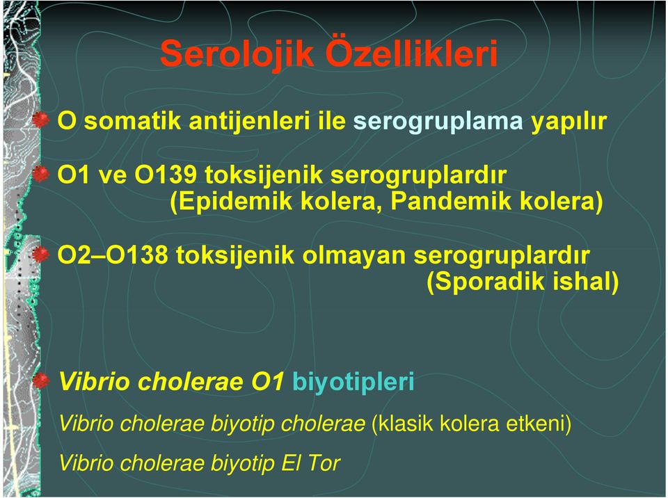 toksijenik ik olmayan serogruplardır (Sporadik ishal) Vibrio i cholerae O1
