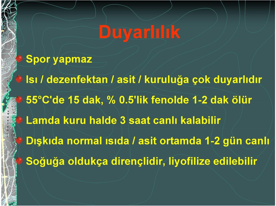 5'lik fenolde 1-2 dak ölür Lamda kuru halde 3 saat canlı kalabilir