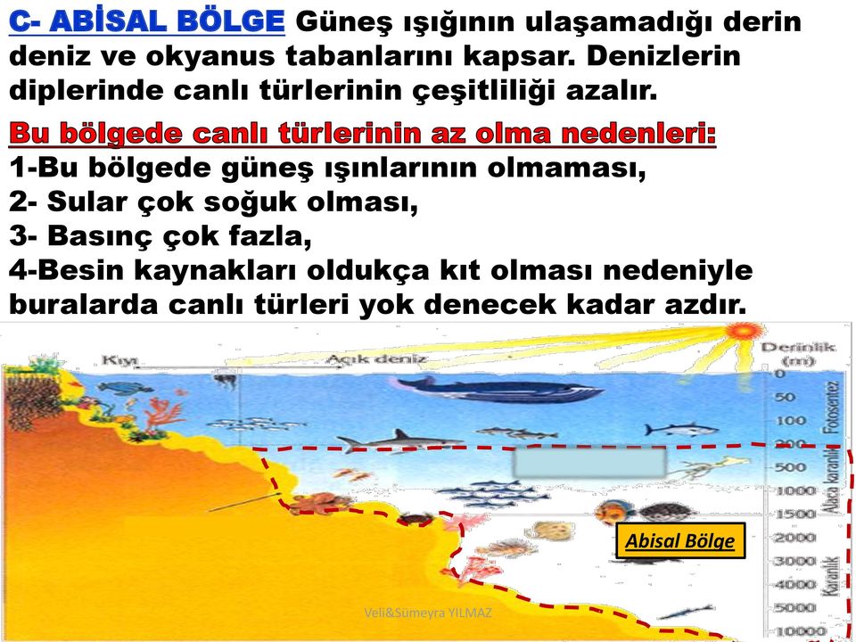 1-Bu bölgede güneş ışınlarının olmaması, 2- Sular çok soğuk olması, 3- Basınç çok