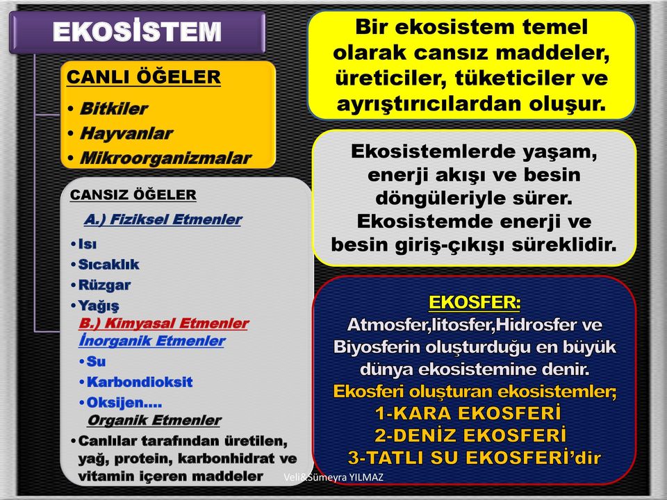 Organik Etmenler Canlılar tarafından üretilen, yağ, protein, karbonhidrat ve vitamin içeren maddeler Bir ekosistem temel