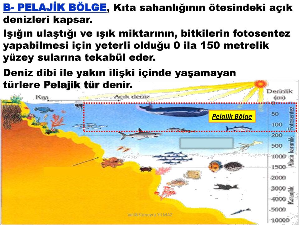 için yeterli olduğu 0 ila 150 metrelik yüzey sularına tekabül eder.