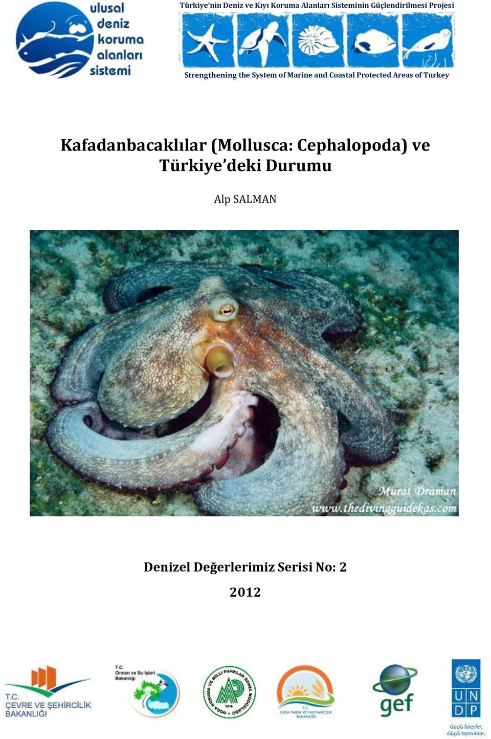 Coastal Protected Areas of Turkey Kafadanbacaklılar (Mollusca: