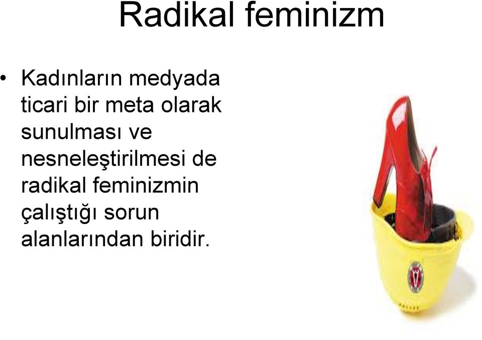 de radikal feminizmin çalıştığı sorun