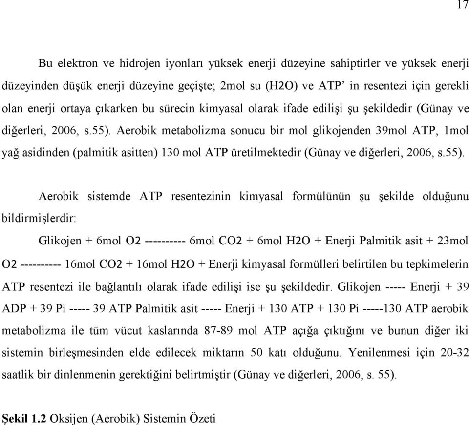 Aerobik metabolizma sonucu bir mol glikojenden 39mol ATP, 1mol yağ asidinden (palmitik asitten) 130 mol ATP üretilmektedir (Günay ve diğerleri, 2006, s.55).