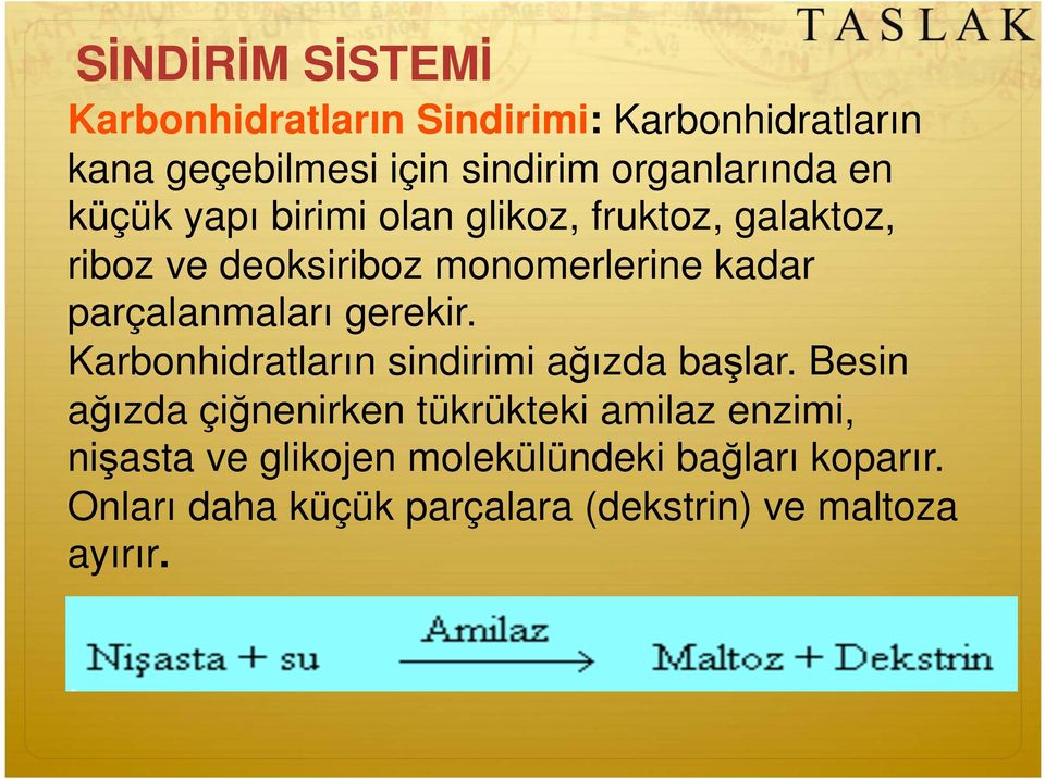 gerekir. Karbonhidratların sindirimi a ızda ba lar.