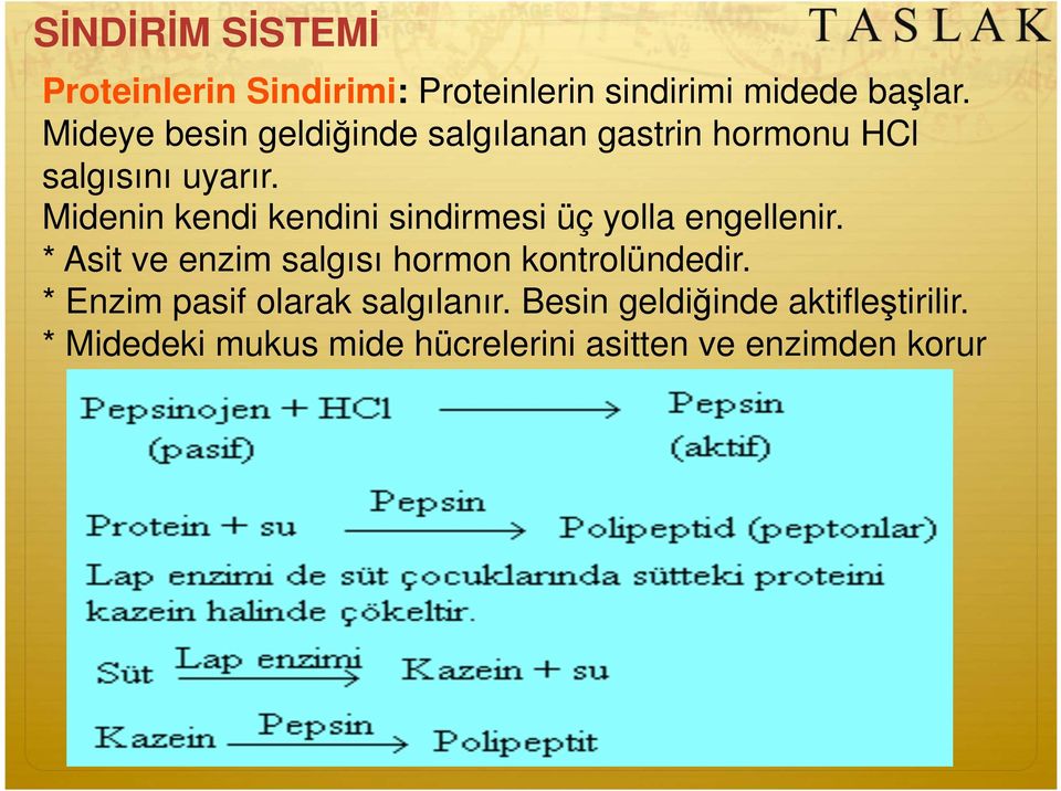 Midenin kendi kendini sindirmesi üç yolla engellenir.