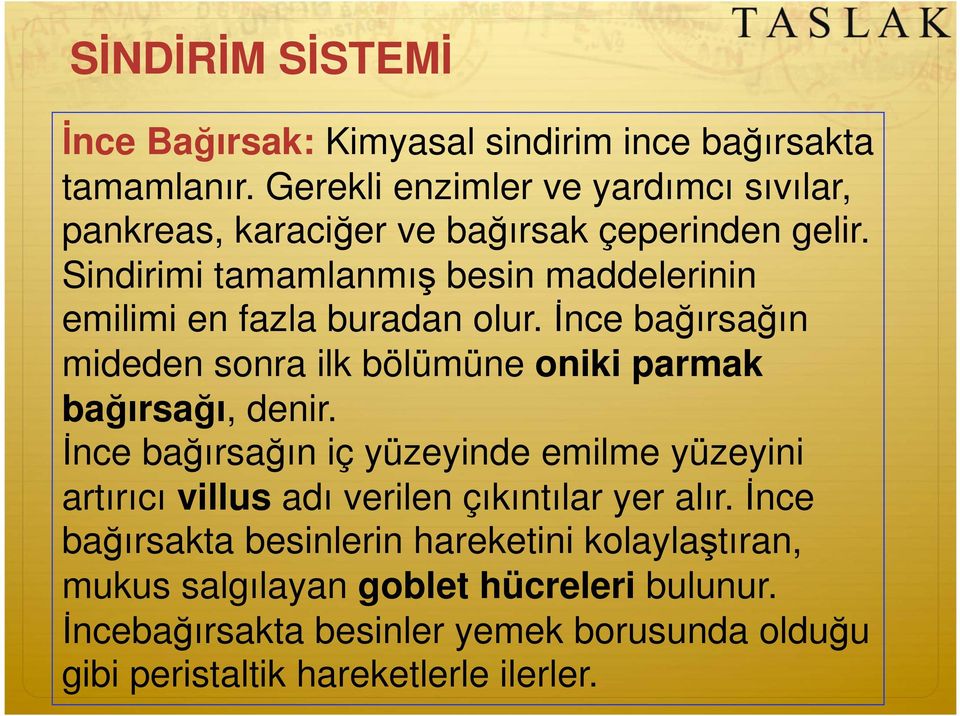 Sindirimi tamamlanmı besin maddelerinin emilimi en fazla buradan olur.