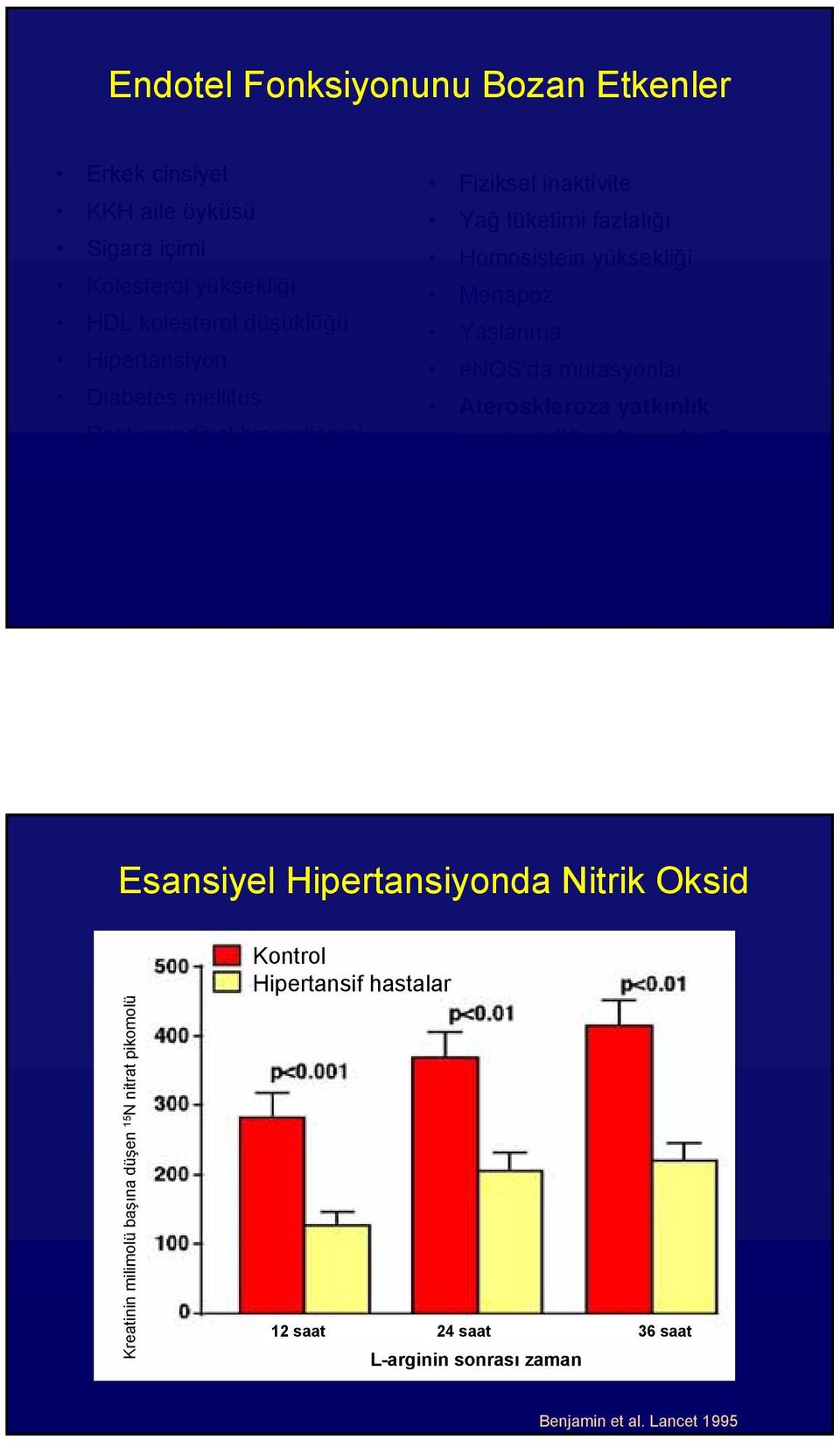 Menapoz Yaşlanma enos da mutasyonlar Ateroskleroza yatkınlık yaratan diğer durumlar?