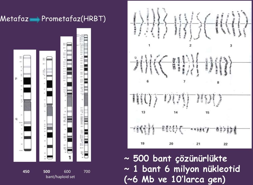 bant çözünürlükte ~ 1 bant 6