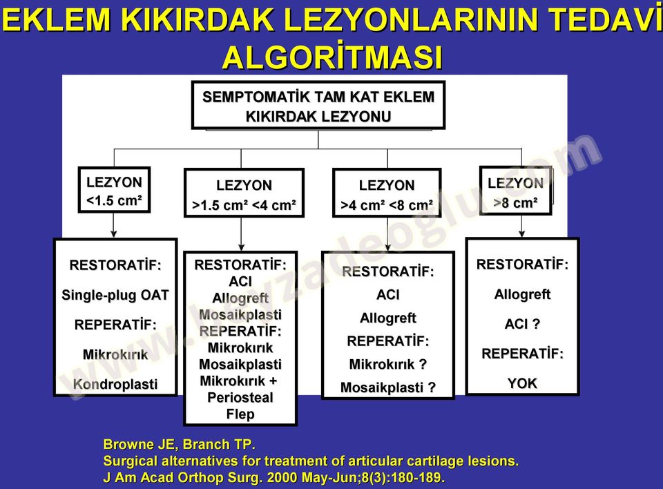 Flep RESTORATİF: Single-plug OAT REPERATİF: Mikrokırık Kondroplasti LEZYON >8 cm² RESTORATİF: ACI Allogreft Allogreft ACI?