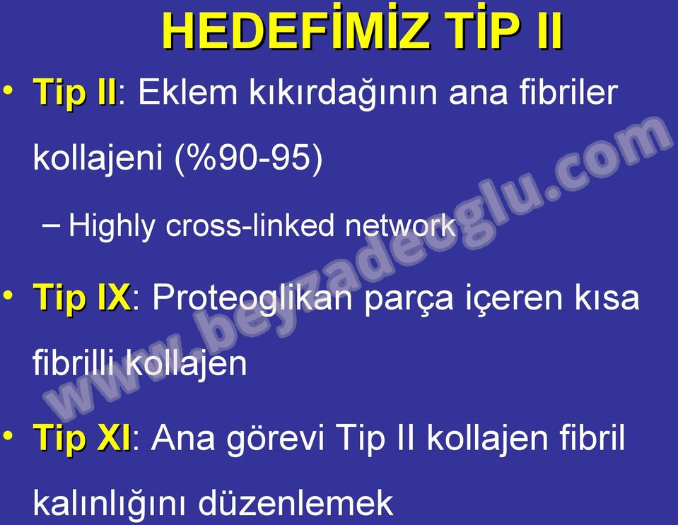 Tip IX: IX Proteoglikan parça içeren kısa fibrilli