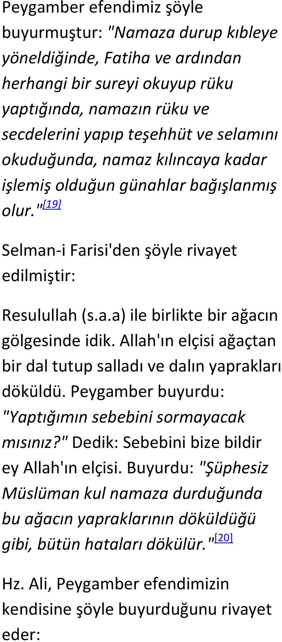 Allah'ın elçisi ağaçtan bir dal tutup salladı ve dalın yaprakları döküldü. Peygamber buyurdu: "Yaptığımın sebebini sormayacak mısınız?" Dedik: Sebebini bize bildir ey Allah'ın elçisi.