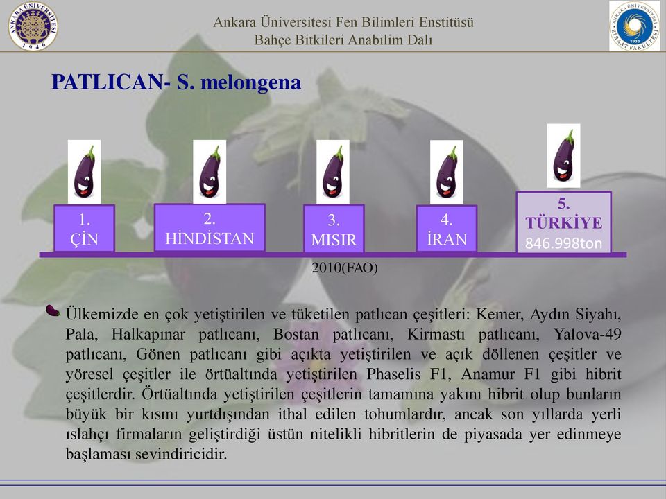 patlıcanı, Gönen patlıcanı gibi açıkta yetiştirilen ve açık döllenen çeşitler ve yöresel çeşitler ile örtüaltında yetiştirilen Phaselis F1, Anamur F1 gibi hibrit çeşitlerdir.