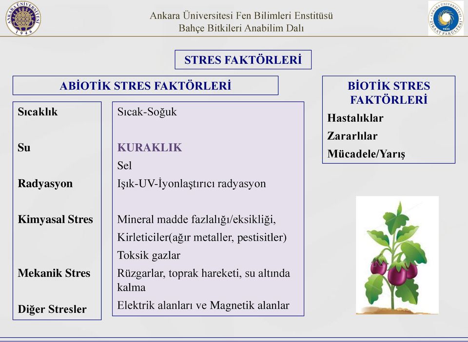 Kimyasal Stres Mekanik Stres Diğer Stresler Mineral madde fazlalığı/eksikliği, Kirleticiler(ağır
