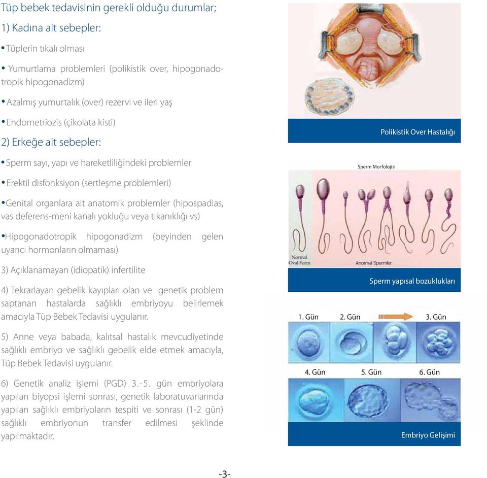 problemleri) Genital organlara ait anatomik problemler (hipospadias, vas deferens-meni kanalı yokluğu veya tıkanıklığı vs) Hipogonadotropik hipogonadizm (beyinden gelen uyarıcı hormonların olmaması)