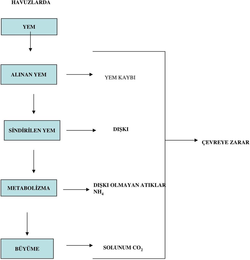 ÇEVREYE ZARAR METABOLİZMA DIŞKI